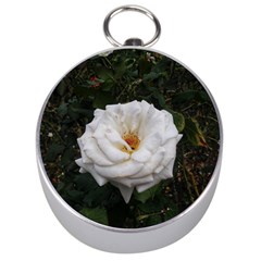 White Smooth Rose Silver Compasses by okhismakingart