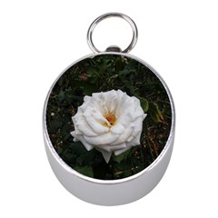 White Smooth Rose Mini Silver Compasses