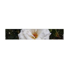 White Smooth Rose Flano Scarf (mini)