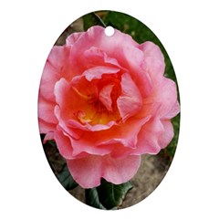 Pink Rose Ornament (oval) by okhismakingart