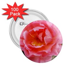 Pink Rose 2 25  Buttons (100 Pack)  by okhismakingart