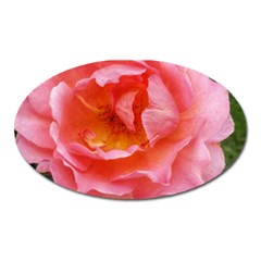 Pink Rose Oval Magnet by okhismakingart