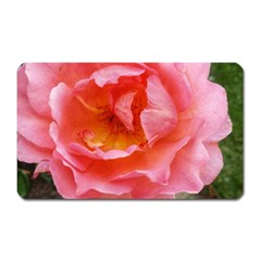 Pink Rose Magnet (rectangular) by okhismakingart