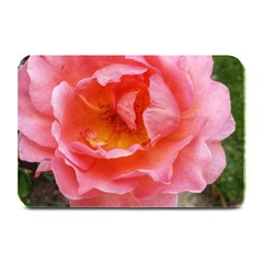 Pink Rose Plate Mats by okhismakingart