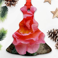 Pink Rose Ornament (christmas Tree)  by okhismakingart