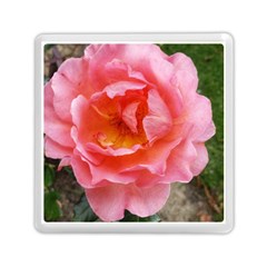 Pink Rose Memory Card Reader (square)