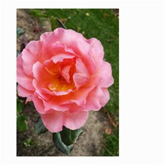 Pink Rose Small Garden Flag (two Sides) by okhismakingart