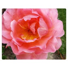 Pink Rose Double Sided Flano Blanket (medium)  by okhismakingart