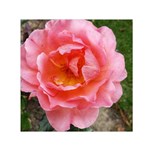 Pink Rose Small Satin Scarf (Square) Front