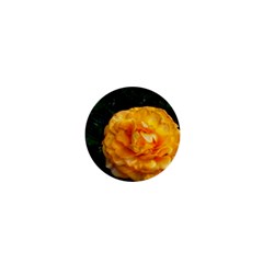 Yellow Rose 1  Mini Magnets by okhismakingart