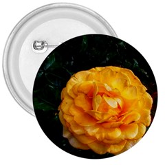 Yellow Rose 3  Buttons by okhismakingart