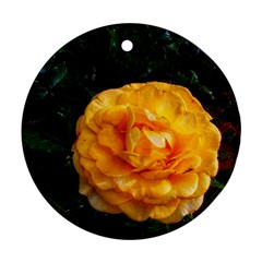 Yellow Rose Ornament (round) by okhismakingart