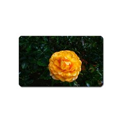 Yellow Rose Magnet (name Card) by okhismakingart