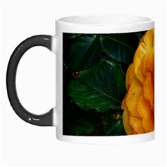 Yellow Rose Morph Mugs by okhismakingart