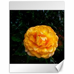 Yellow Rose Canvas 12  X 16  by okhismakingart