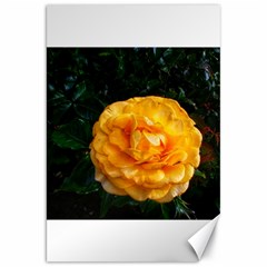 Yellow Rose Canvas 20  X 30  by okhismakingart