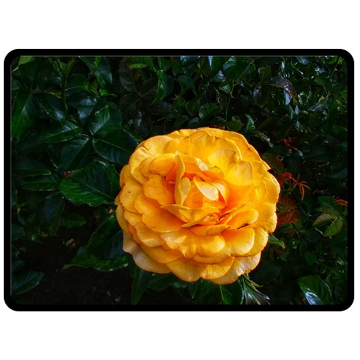 Yellow Rose Fleece Blanket (Large) 