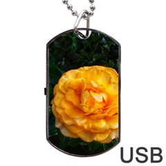 Yellow Rose Dog Tag Usb Flash (one Side) by okhismakingart