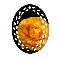 Yellow Rose Oval Filigree Ornament (two Sides) by okhismakingart