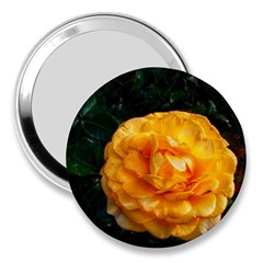 Yellow Rose 3  Handbag Mirrors by okhismakingart