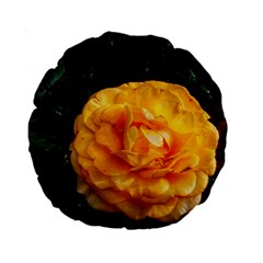 Yellow Rose Standard 15  Premium Round Cushions by okhismakingart