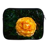 Yellow Rose Apple iPad 2/3/4 Zipper Cases Front