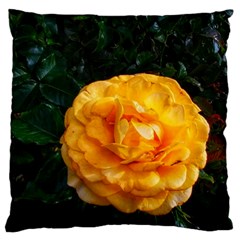 Yellow Rose Standard Flano Cushion Case (one Side) by okhismakingart