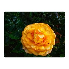 Yellow Rose Double Sided Flano Blanket (mini)  by okhismakingart