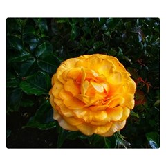 Yellow Rose Double Sided Flano Blanket (small)  by okhismakingart