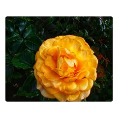 Yellow Rose Double Sided Flano Blanket (large)  by okhismakingart