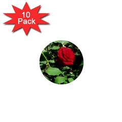 Deep Red Rose 1  Mini Buttons (10 Pack)  by okhismakingart