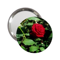 Deep Red Rose 2 25  Handbag Mirrors by okhismakingart