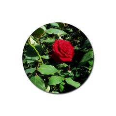 Deep Red Rose Rubber Coaster (round)  by okhismakingart