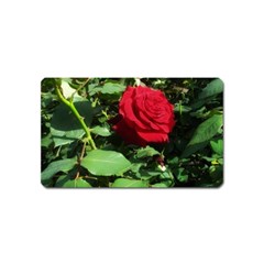 Deep Red Rose Magnet (name Card) by okhismakingart