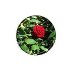 Deep Red Rose Hat Clip Ball Marker (4 Pack) by okhismakingart