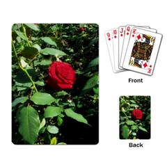 Deep Red Rose Playing Cards Single Design by okhismakingart