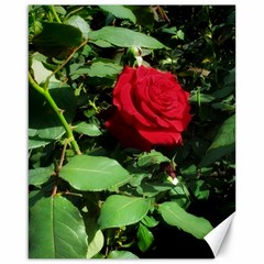 Deep Red Rose Canvas 16  X 20  by okhismakingart