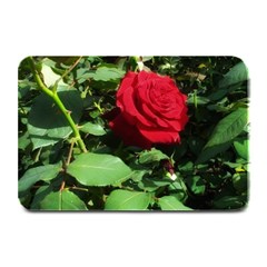 Deep Red Rose Plate Mats by okhismakingart