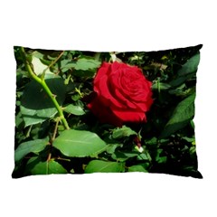 Deep Red Rose Pillow Case by okhismakingart