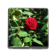 Deep Red Rose Memory Card Reader (square 5 Slot) by okhismakingart