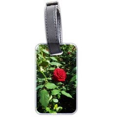 Deep Red Rose Luggage Tags (two Sides) by okhismakingart