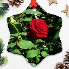 Deep Red Rose Ornament (snowflake) by okhismakingart