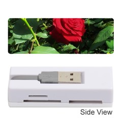 Deep Red Rose Memory Card Reader (stick) by okhismakingart