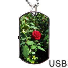 Deep Red Rose Dog Tag Usb Flash (two Sides) by okhismakingart