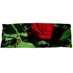 Deep Red Rose Body Pillow Case (dakimakura) by okhismakingart