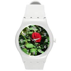 Deep Red Rose Round Plastic Sport Watch (m) by okhismakingart