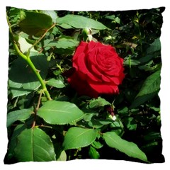 Deep Red Rose Large Cushion Case (two Sides) by okhismakingart