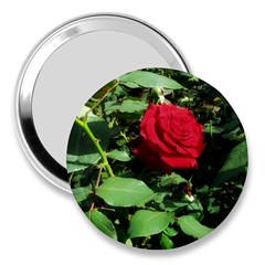 Deep Red Rose 3  Handbag Mirrors by okhismakingart