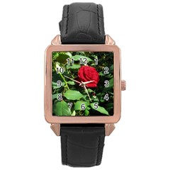 Deep Red Rose Rose Gold Leather Watch  by okhismakingart