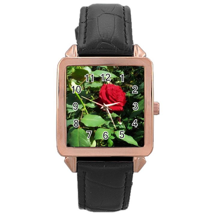 Deep Red Rose Rose Gold Leather Watch 